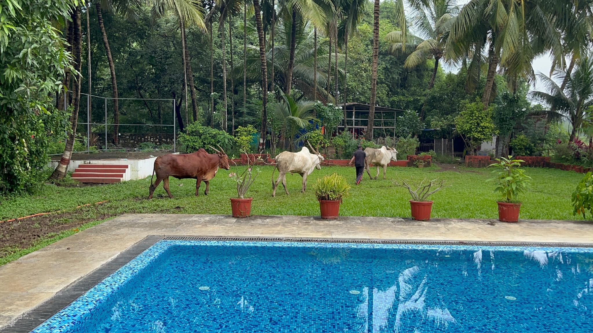 Ruturaj Inn photo 3