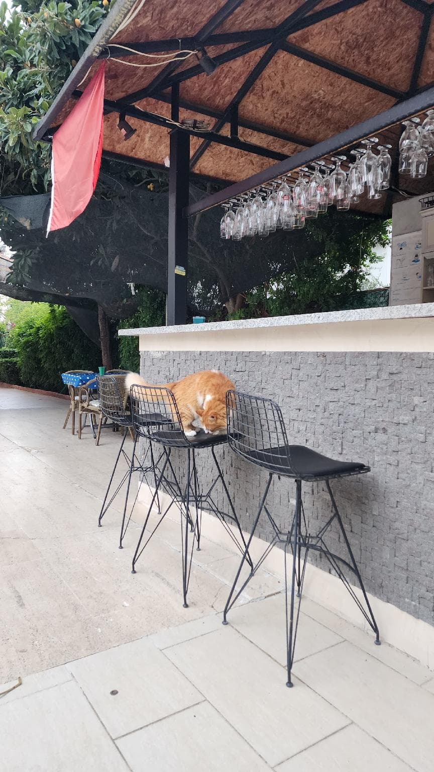 ANTALYA KONYAALTI GUNDUZ OTEL photo 5
