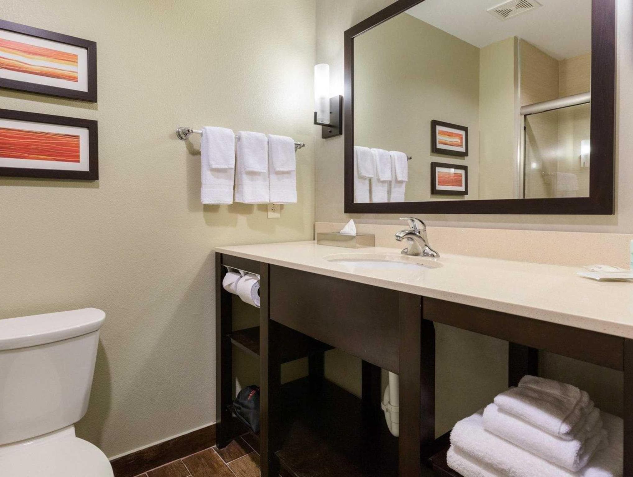 Comfort Suites near Westchase on Beltway 8 photo 3