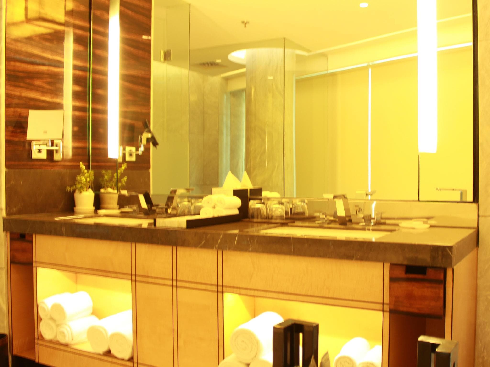 JW Marriott Hotel New Delhi Aerocity photo 4