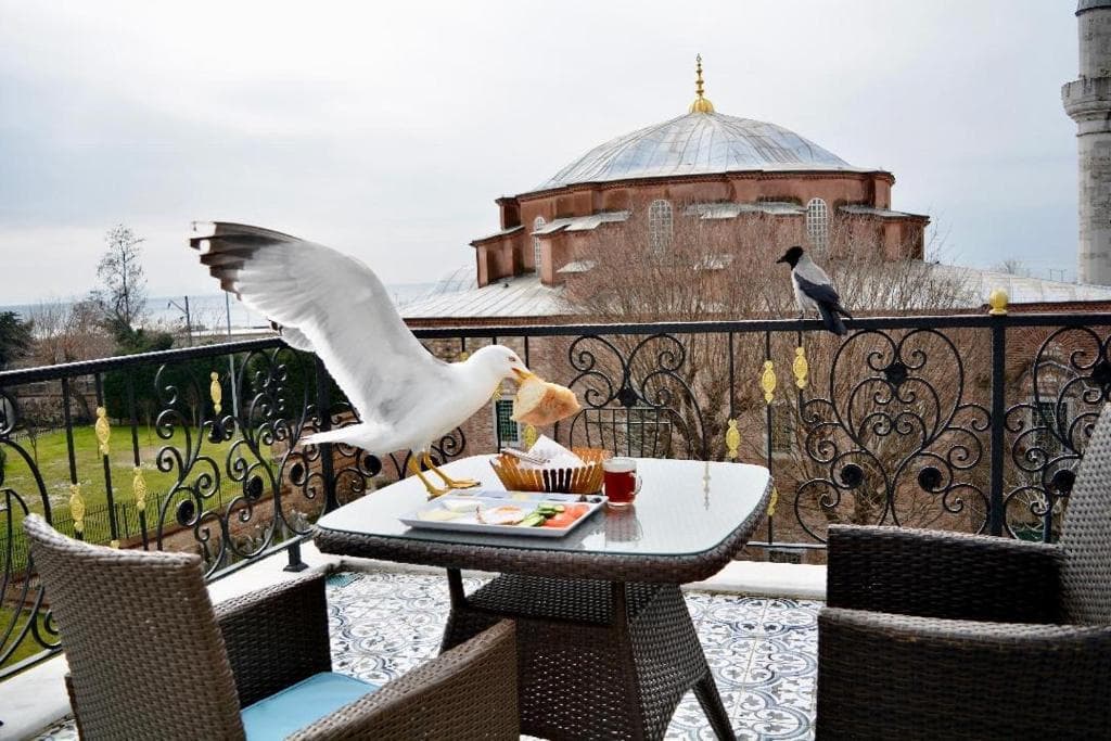 LITTLE SOFIA HOTEL photo 5
