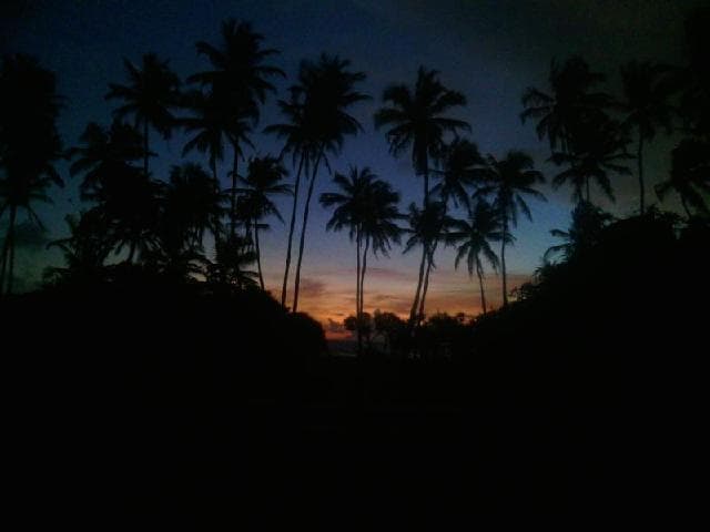 Ocean View Hotel photo 3