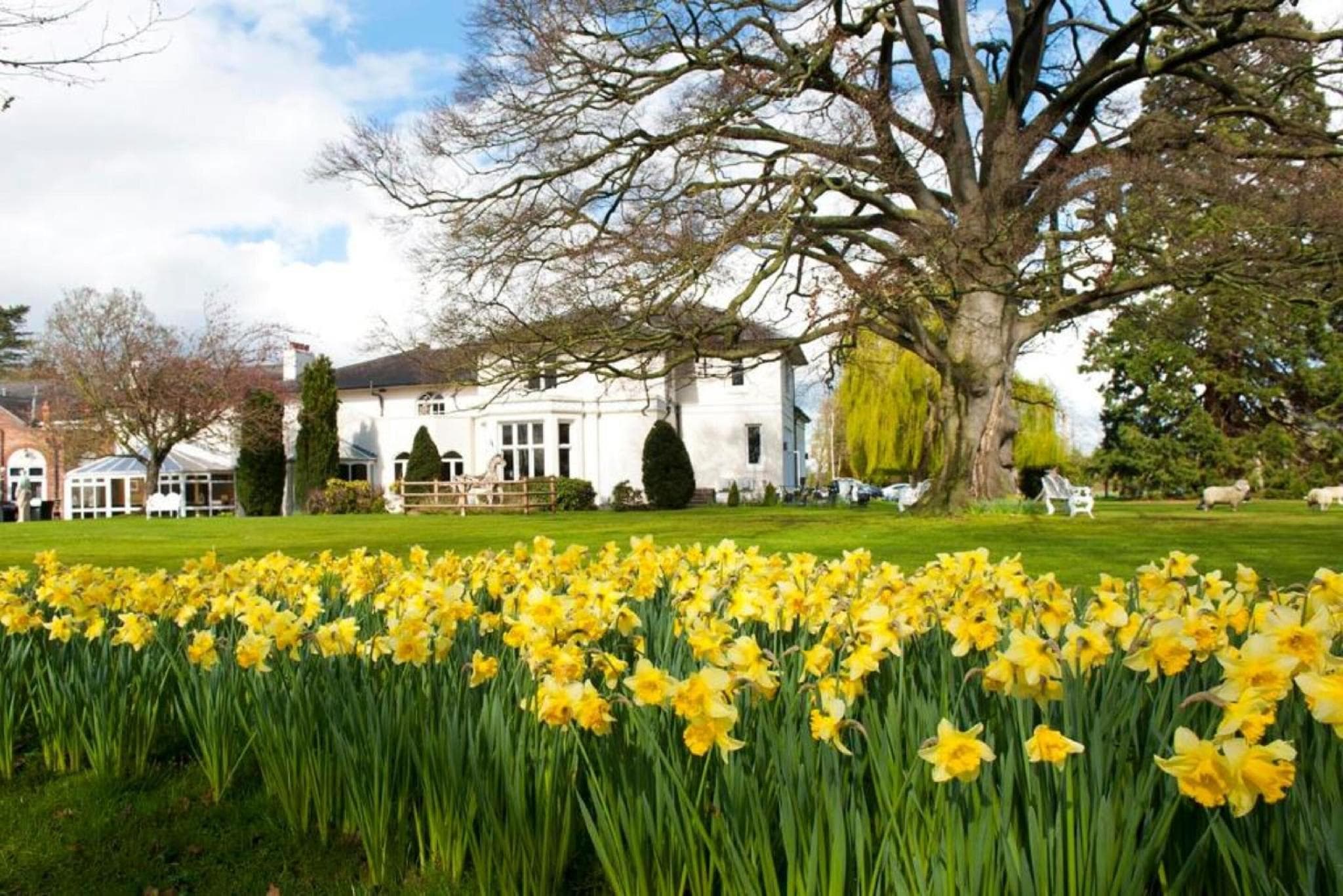 Wrexham Llyndir Hotel by Belvilla photo 5
