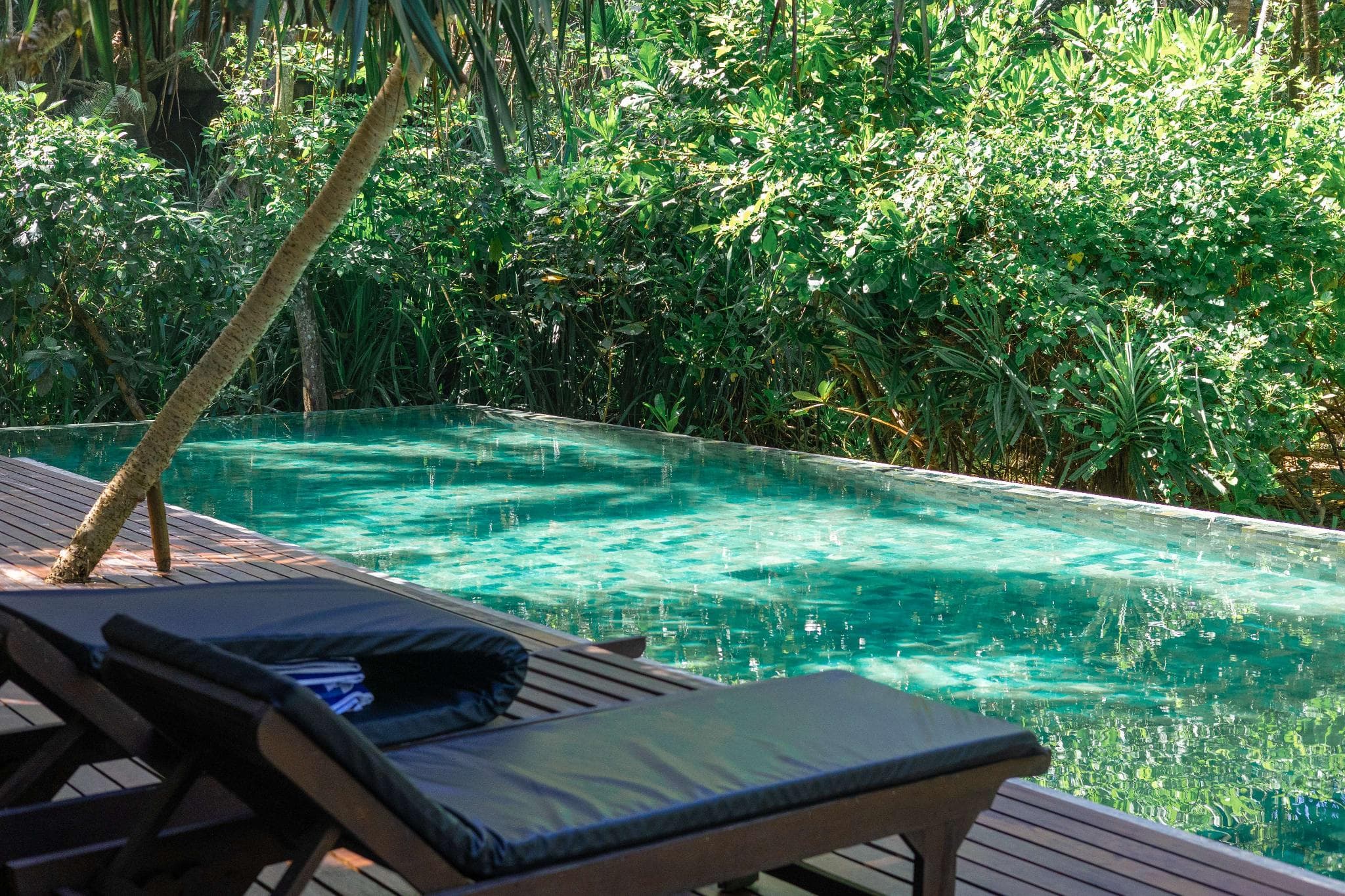 Sama Retreats - Kosgoda photo 4