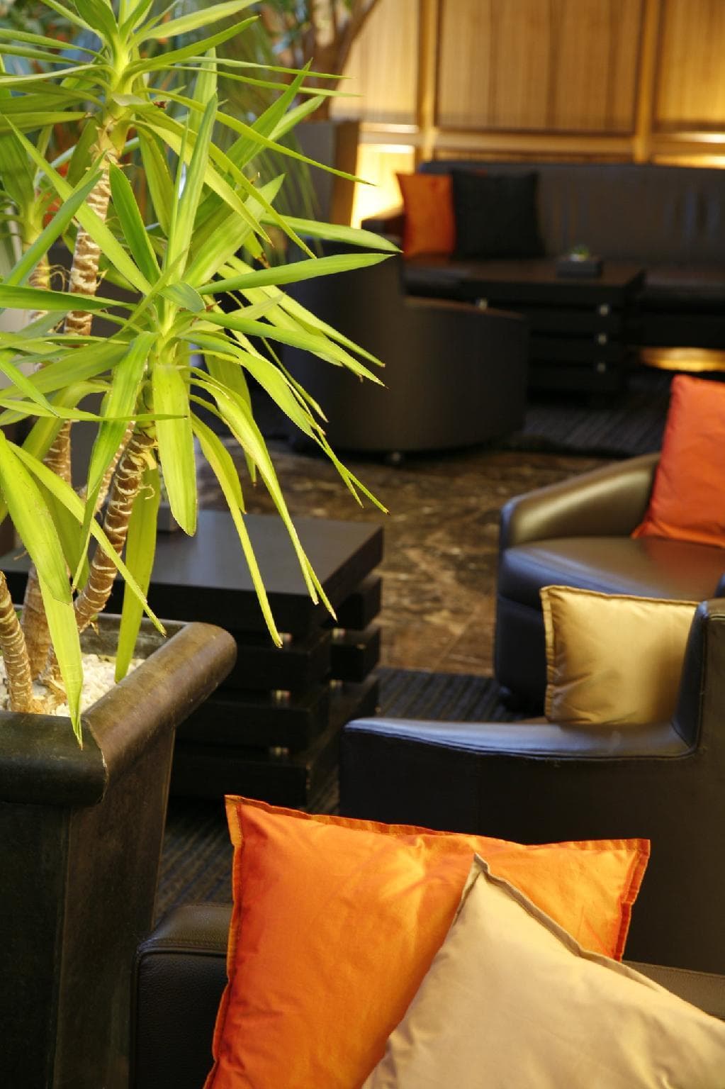 Hilton Lille photo 4