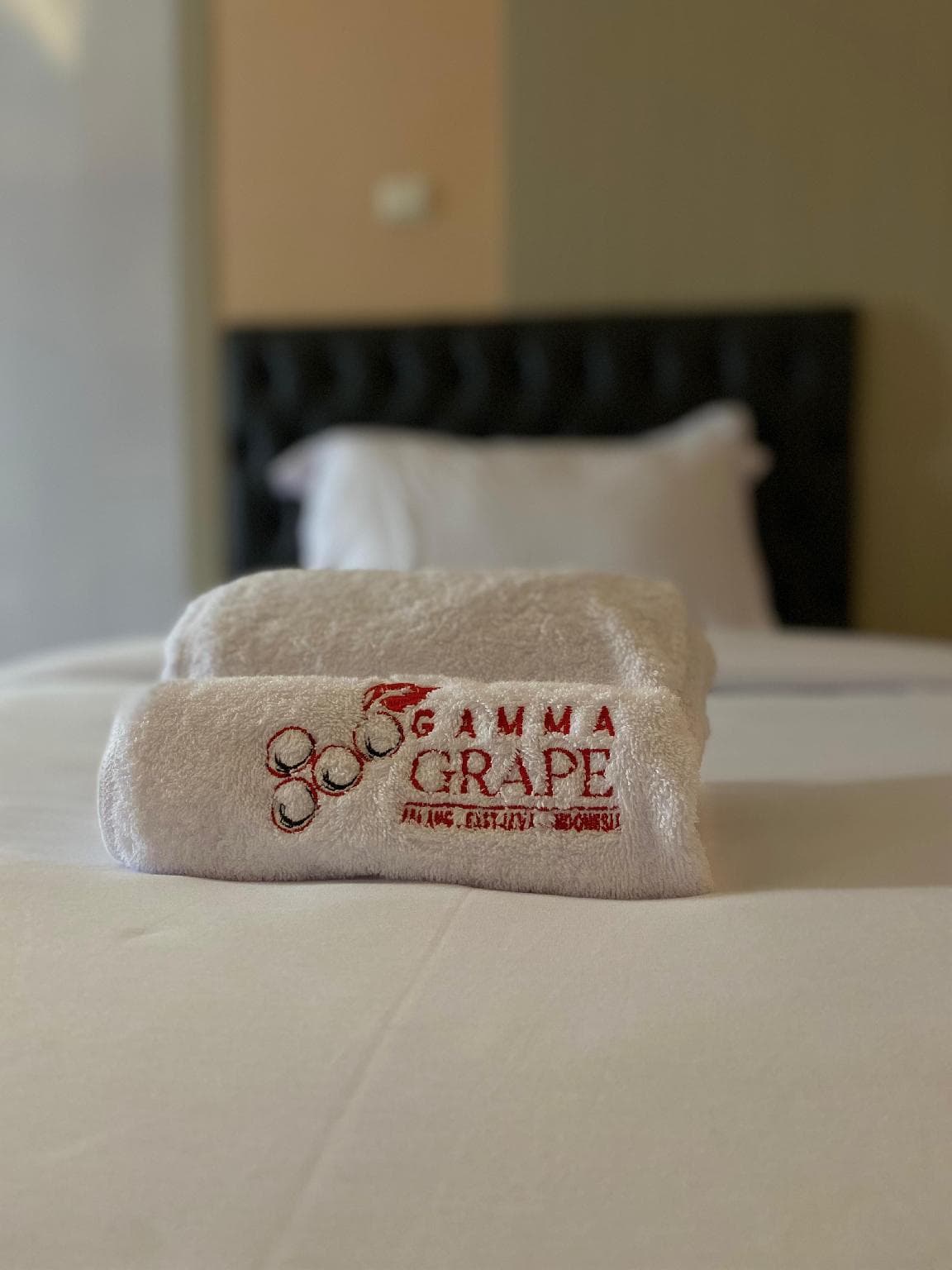 GAMMA GRAPE EXPERIENCE (COTTAGE) photo 5