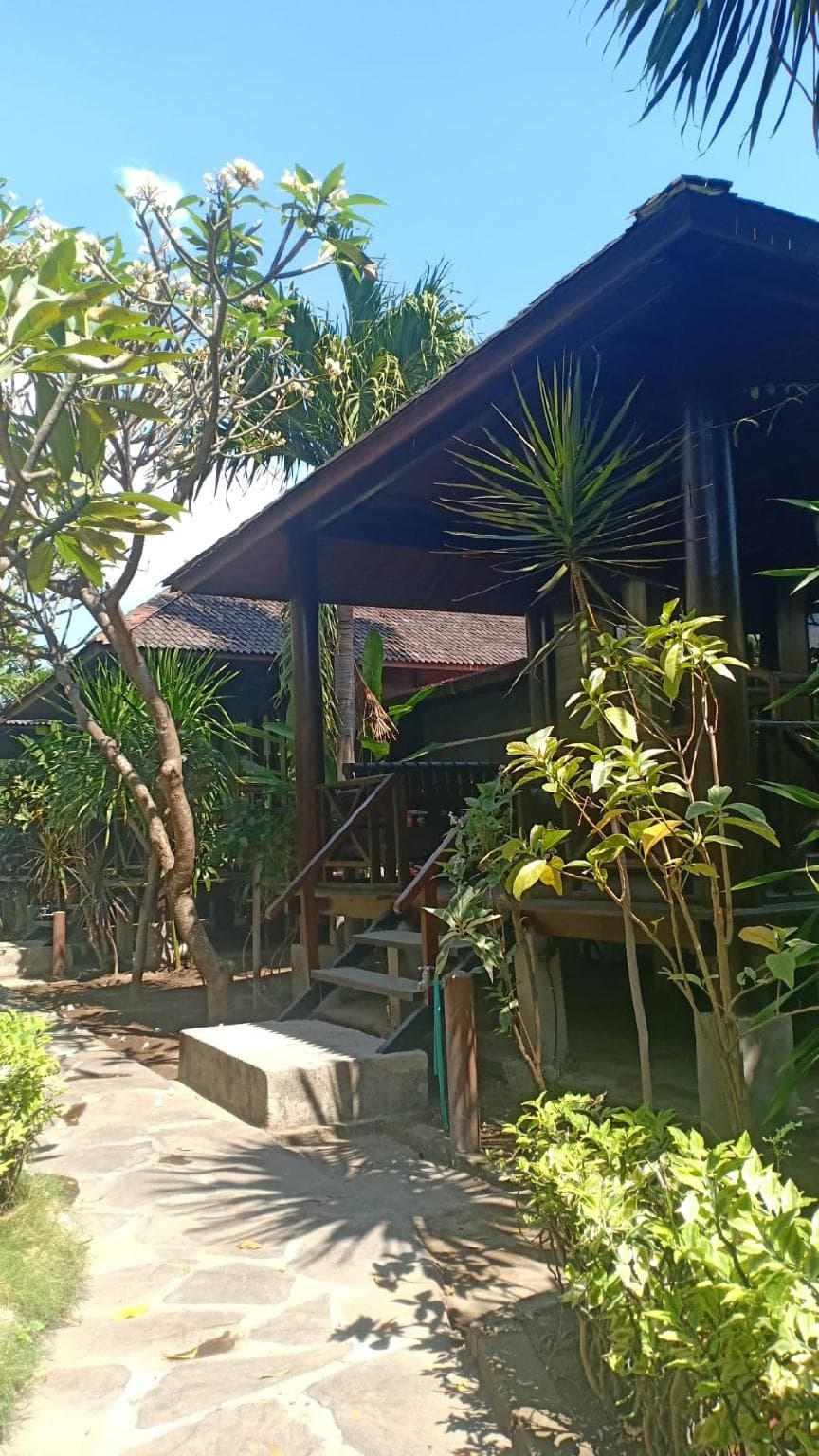 Turtle Garden Hotel photo 4
