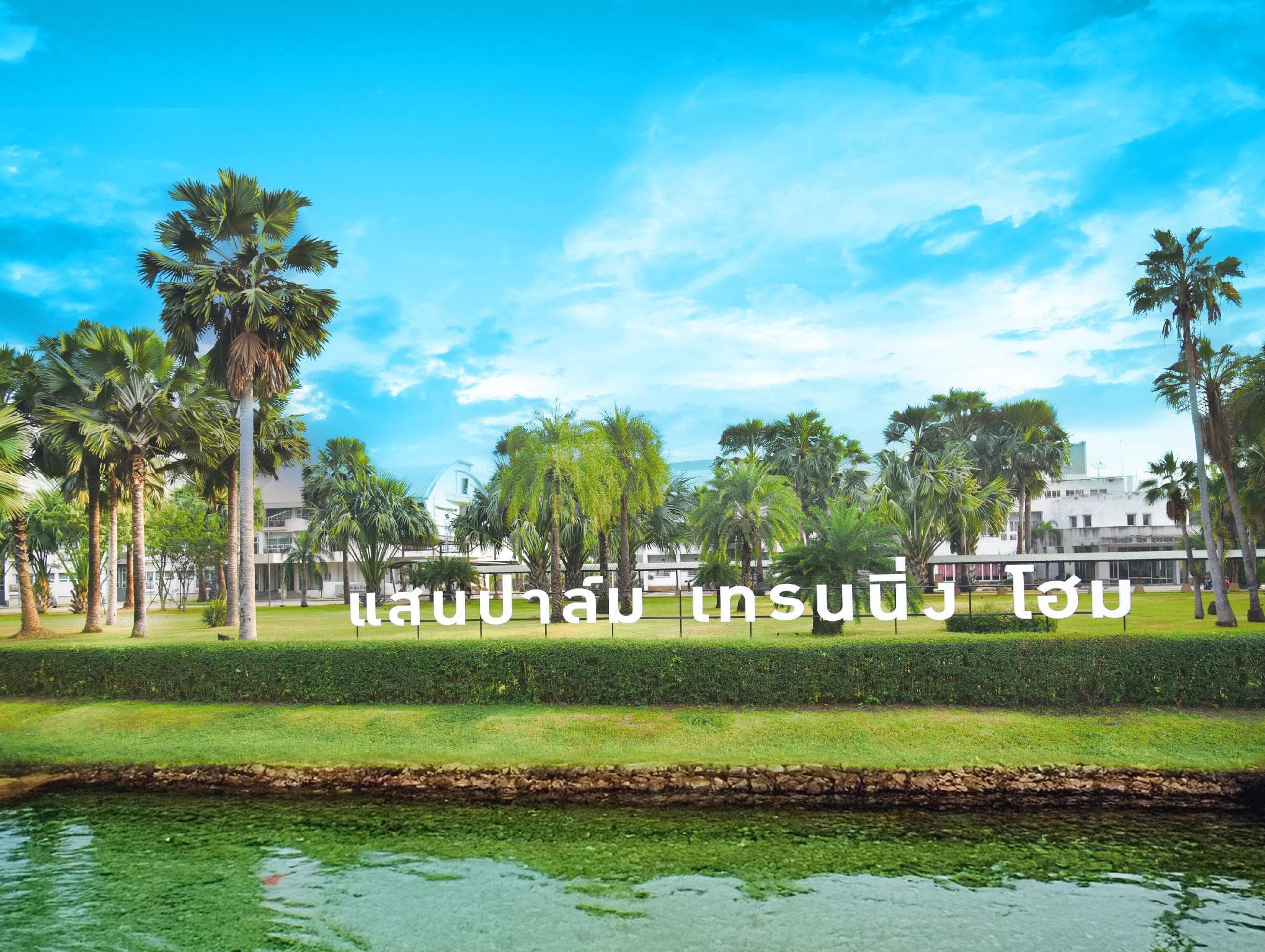 Saenpalm Training Home