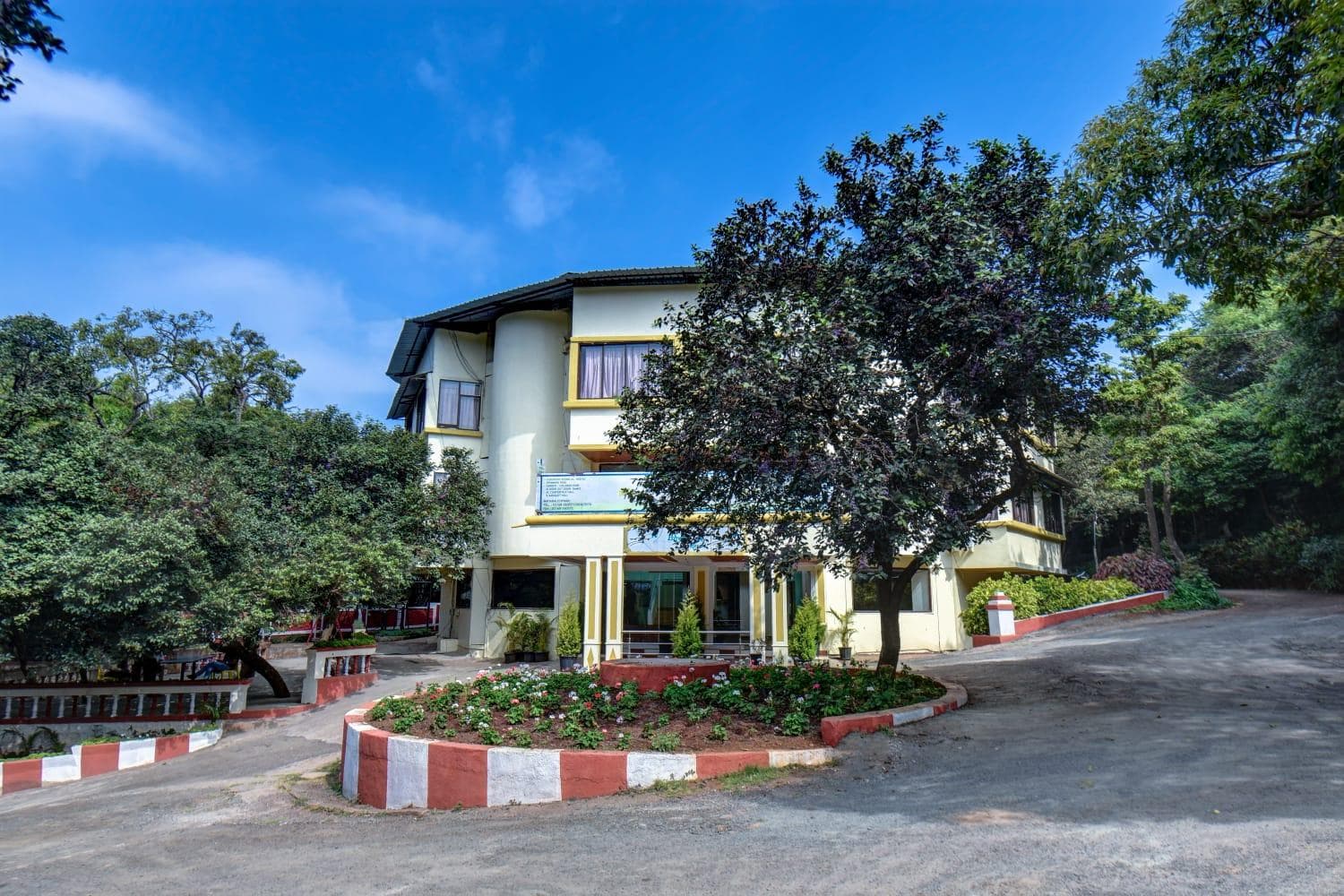 Nature forest view resort