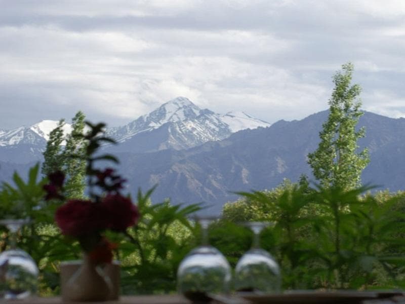 The Druk Ladakh Hotel photo 4