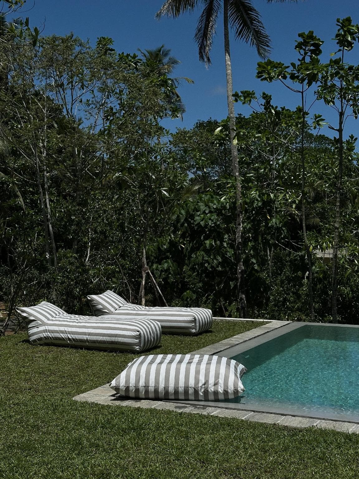 SOLA photo 3