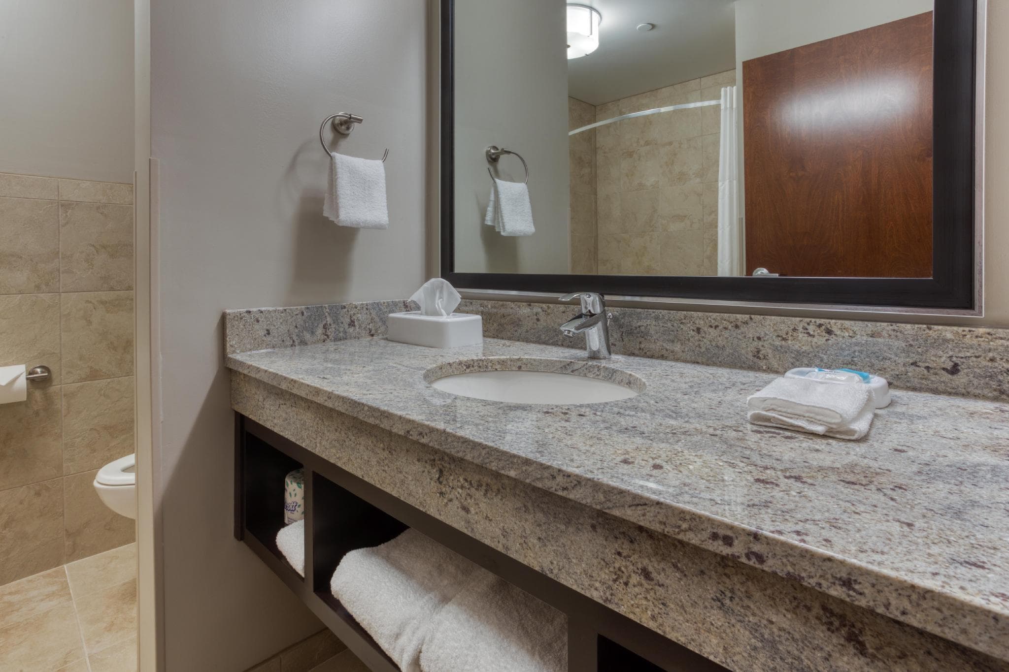 Drury Plaza Hotel Dallas Richardson photo 2