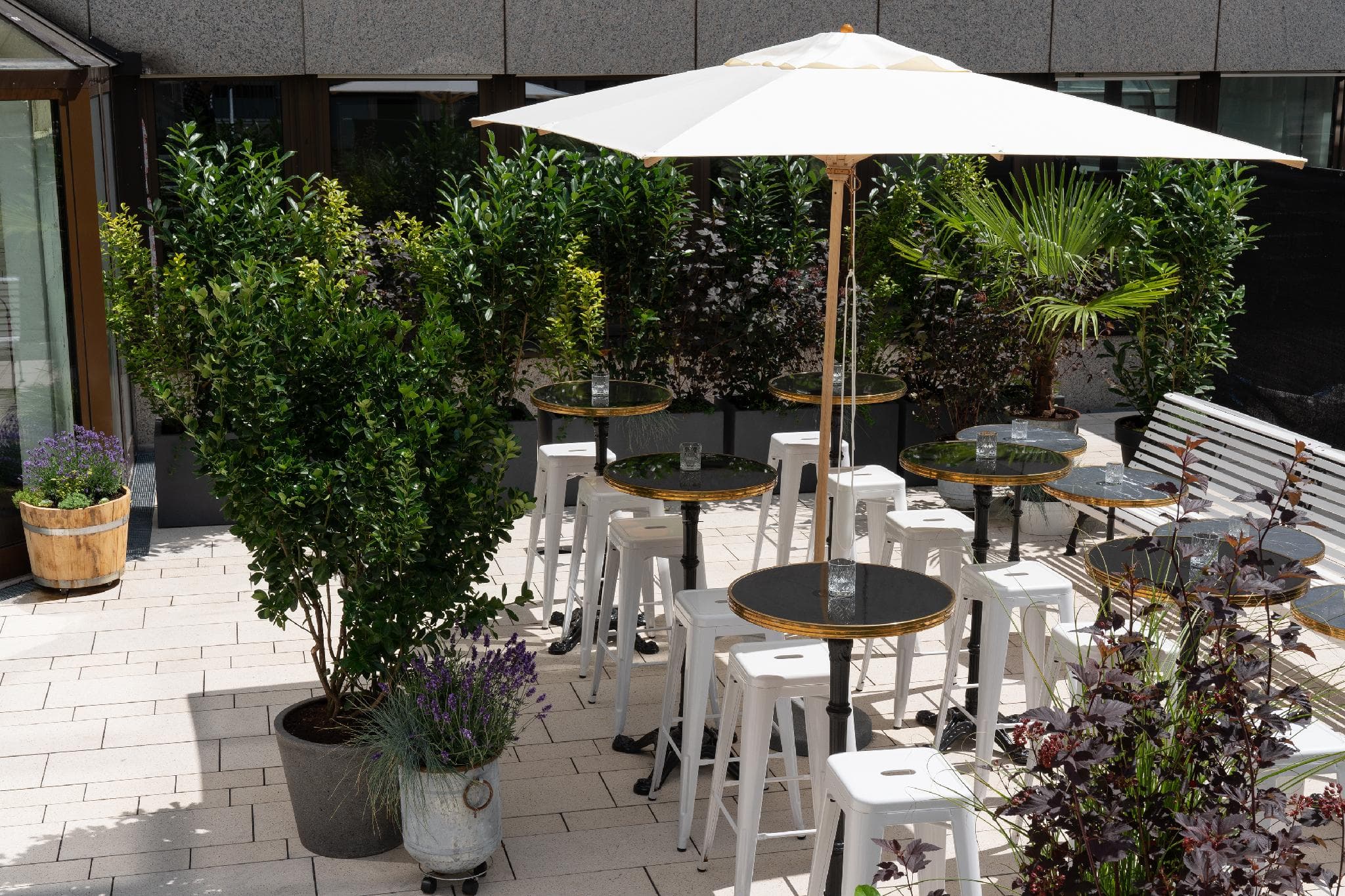 Ruby Coco Hotel Dusseldorf by IHG