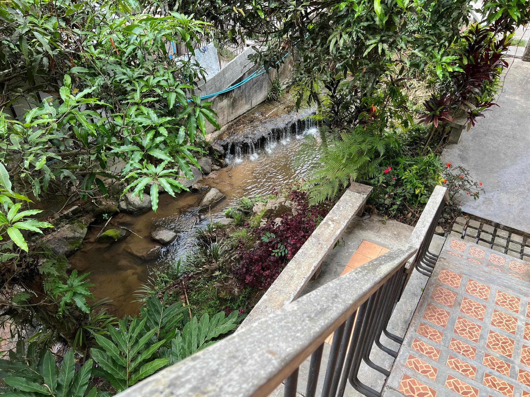 Ban Klang Khao, Mae Kampong photo 5