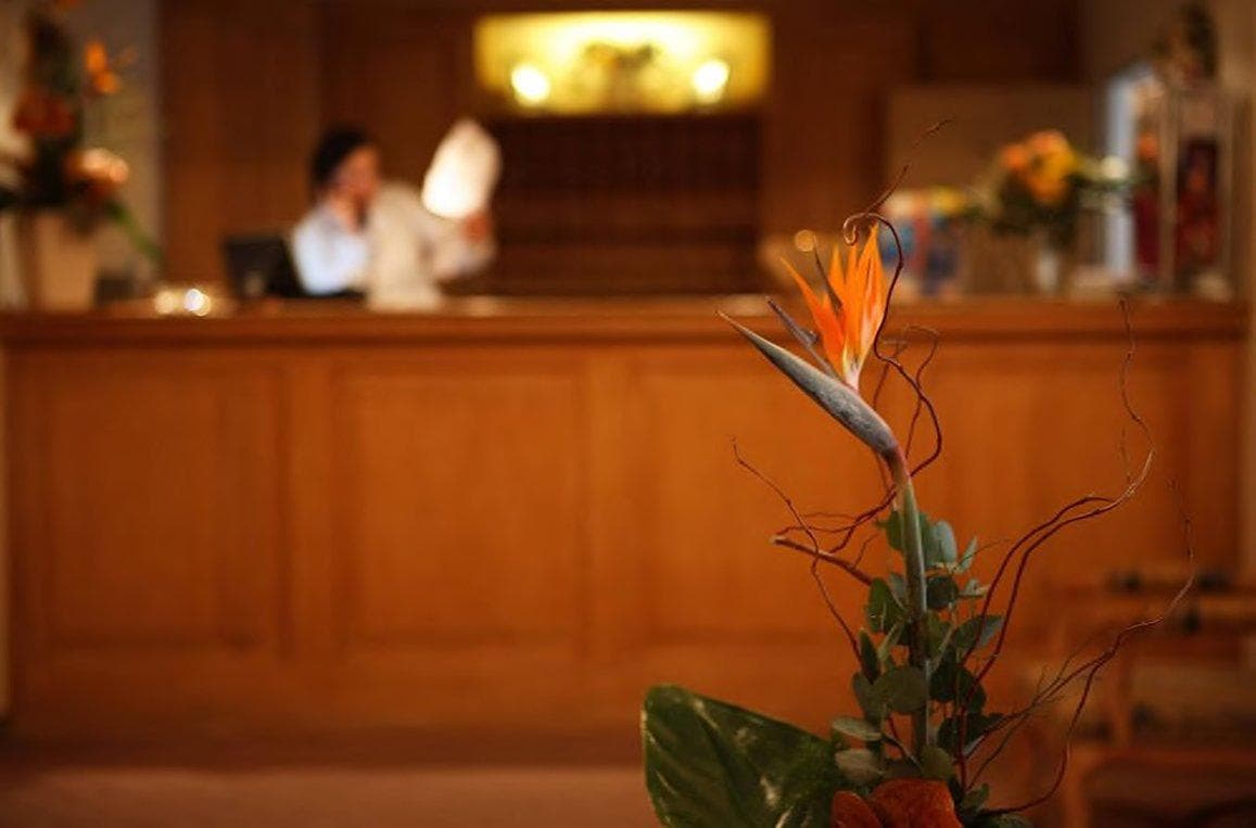 Hotel Lessing photo 3