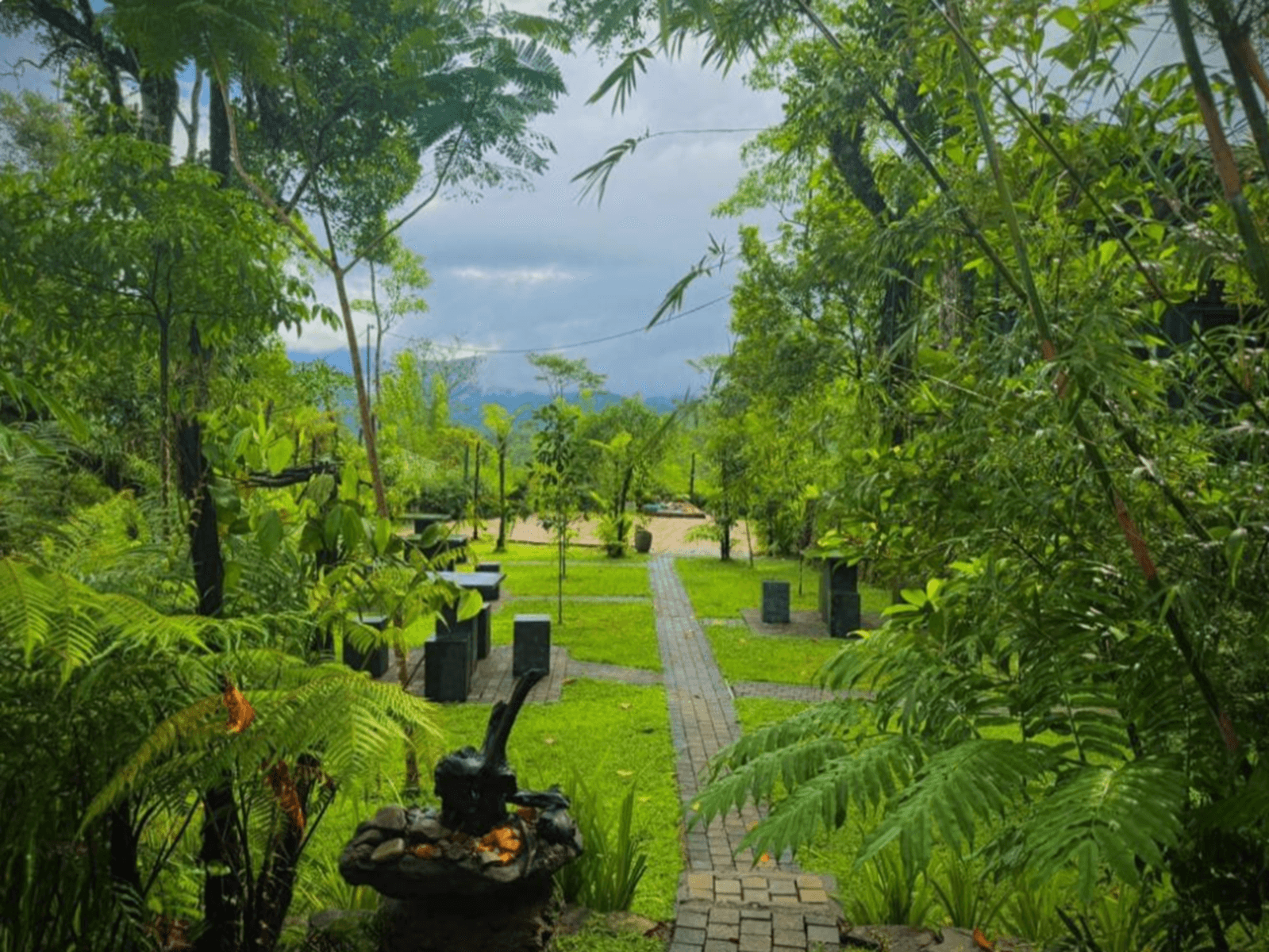 The Secret Garden at Mist of Sinharaja photo 5