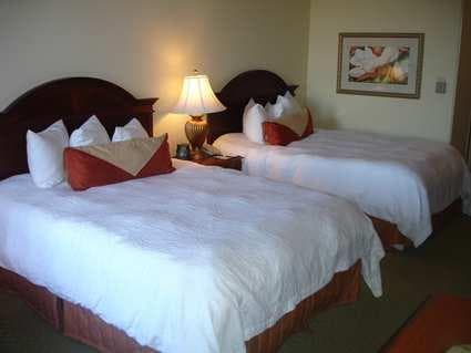 Hilton Garden Inn Knoxville West/Cedar Bluff photo 2