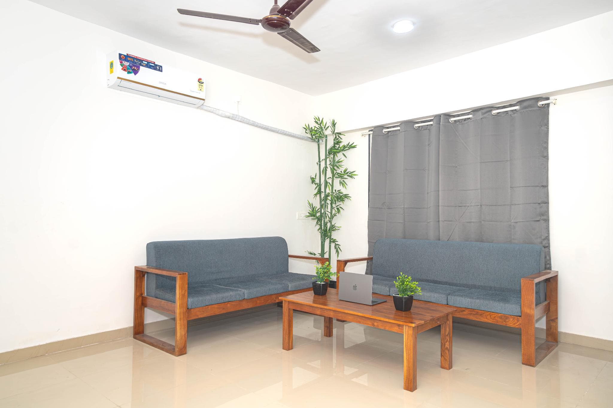 Z Express Zen Elite photo 3