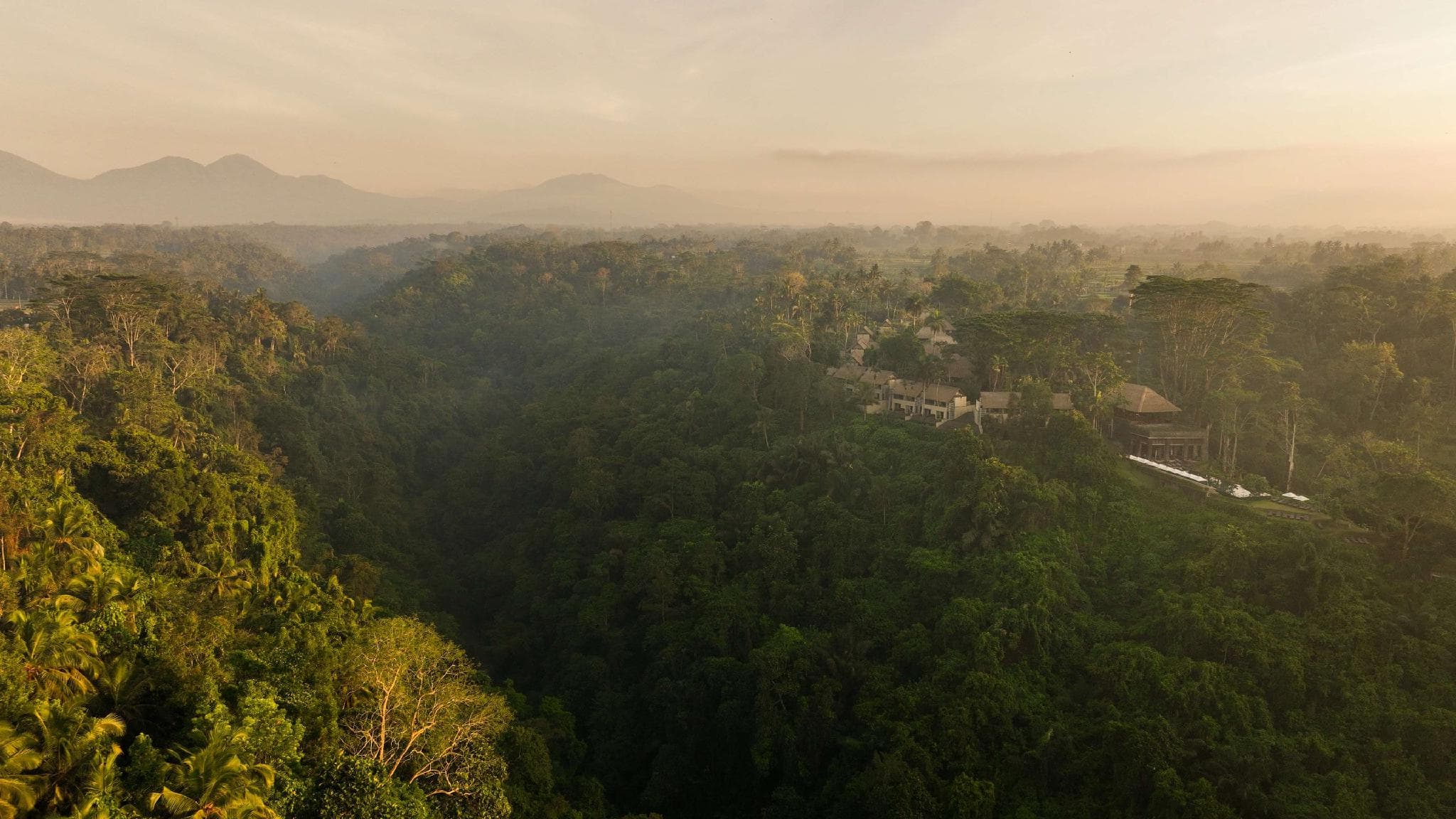 Alila Ubud photo 2