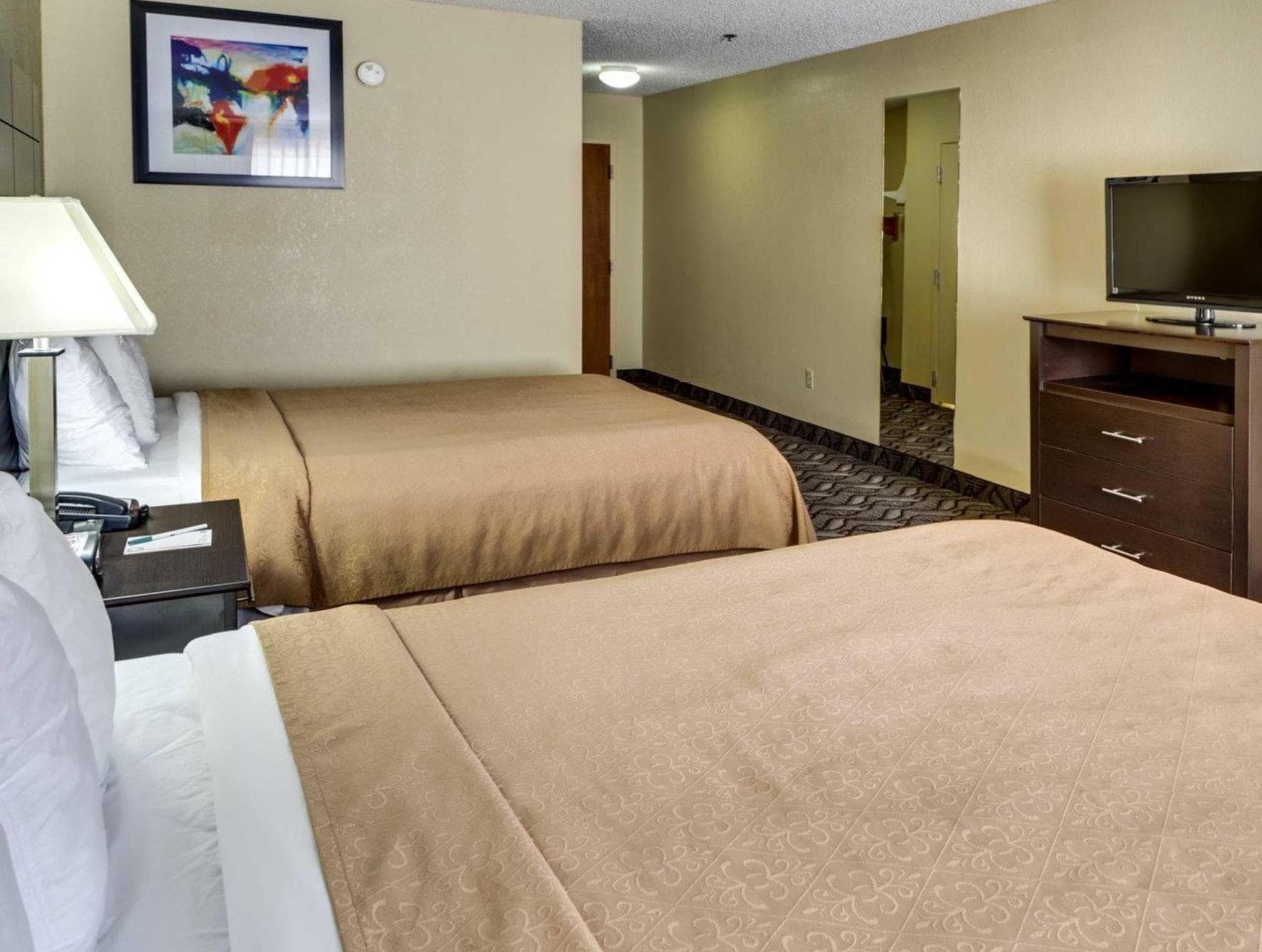 Quality Suites Baton Rouge East - Denham Springs photo 2