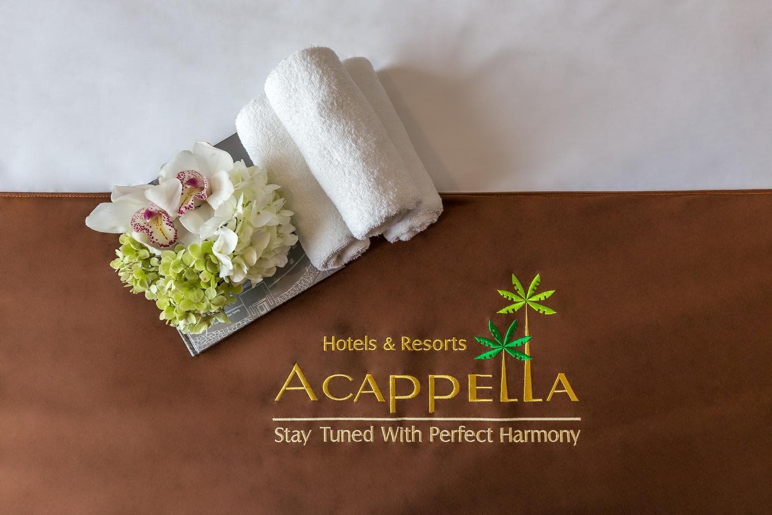 Acappella Suite Hotel photo 2
