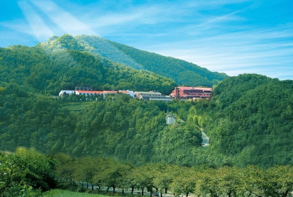 Chungju Suanbopark hotel