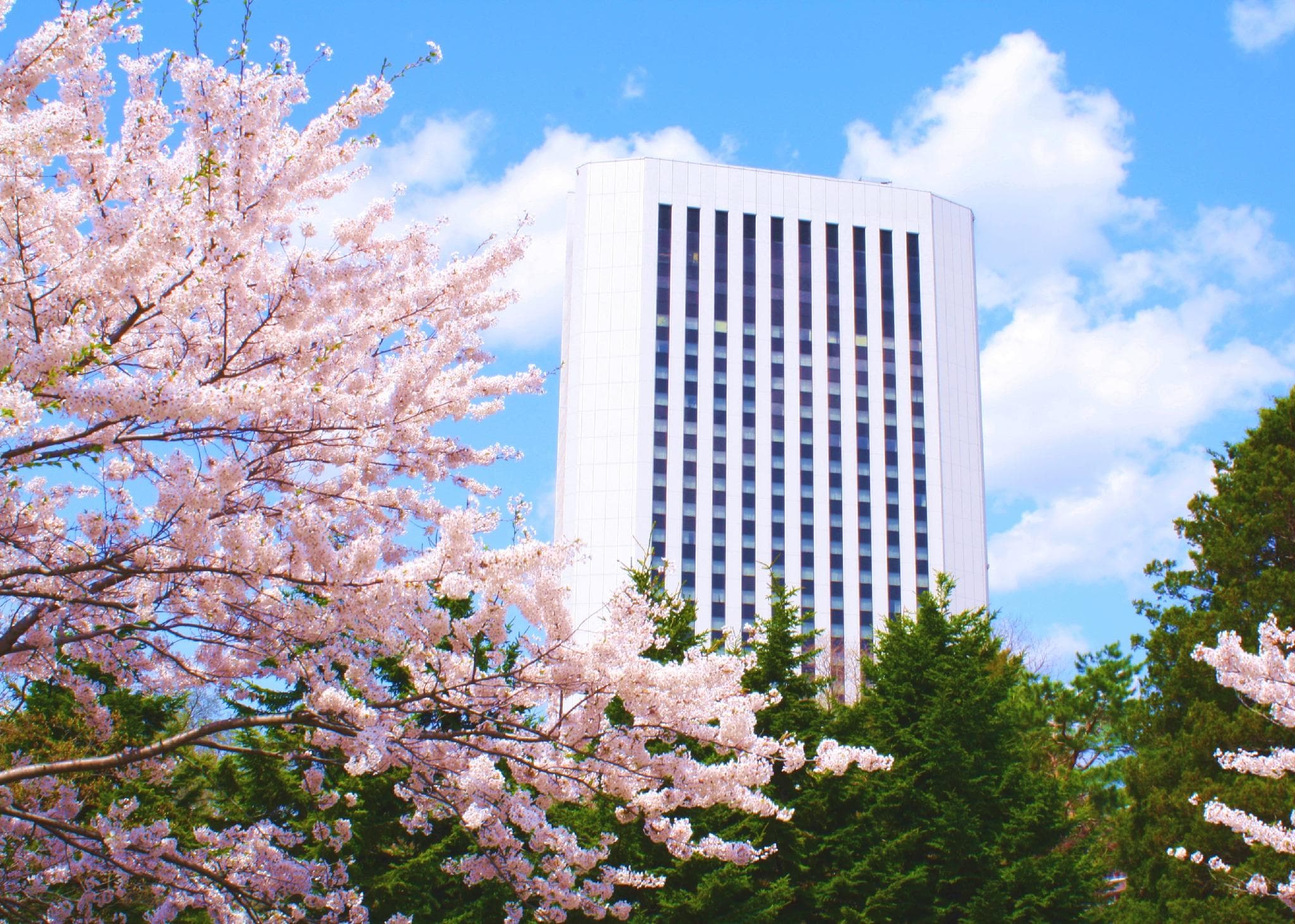 Premier Hotel Nakajima Park Sapporo